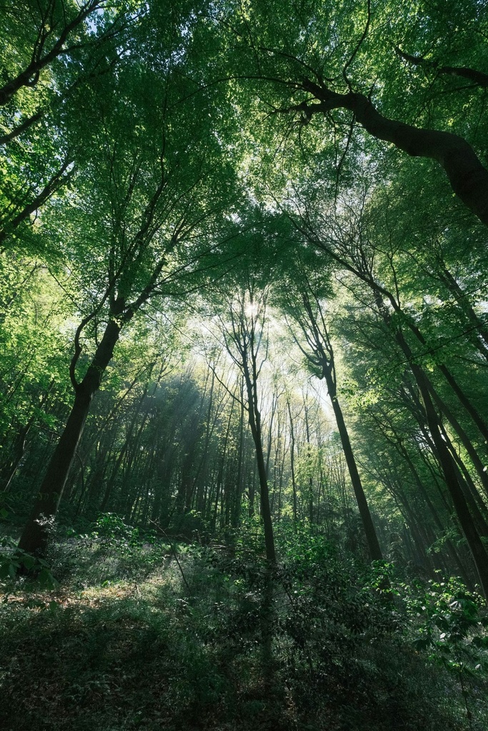 E05 eLearning-Kurs: Bewegung, Natur & Nachhaltigkeit